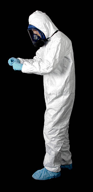 Trusted Katonah, NY Mold Removal Experts