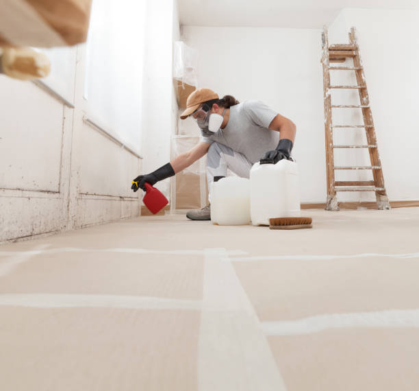 Biohazard Mold Removal in Katonah, NY